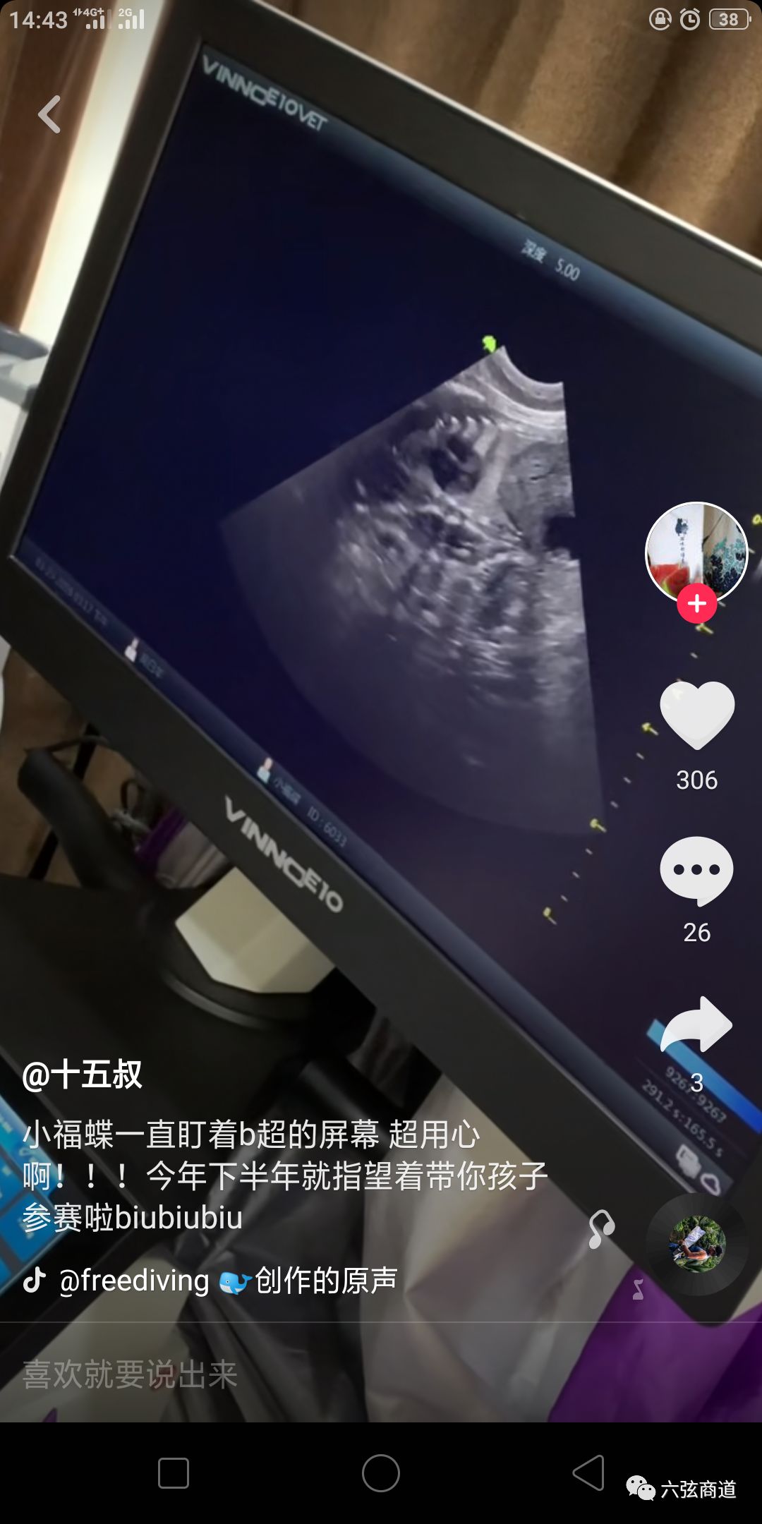 猫咪的火热市场,猫咪市场渠道