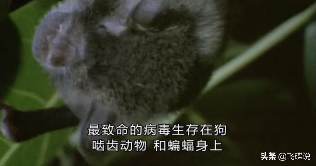 疫情下彻底看清了人性,疫情下摆正心态