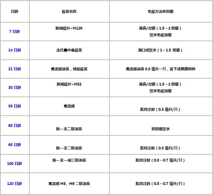 养好鸡要趁早,养好鸡挣大钱