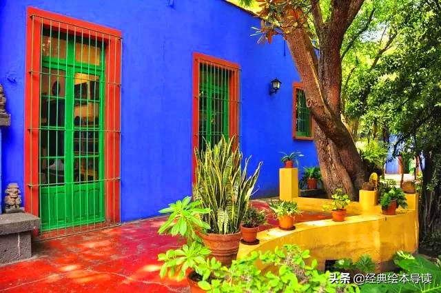 对盛放生命女人的致礼——《永远的弗里达》导读