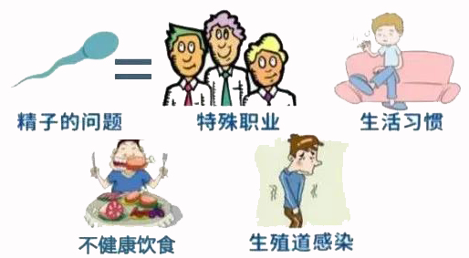 为什么年轻人会有弱精,为什么现在弱精的这么多