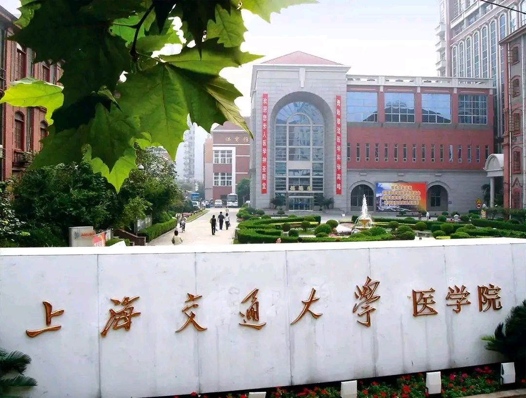 山东最强医学院,山东大学齐鲁医药学院临床医学