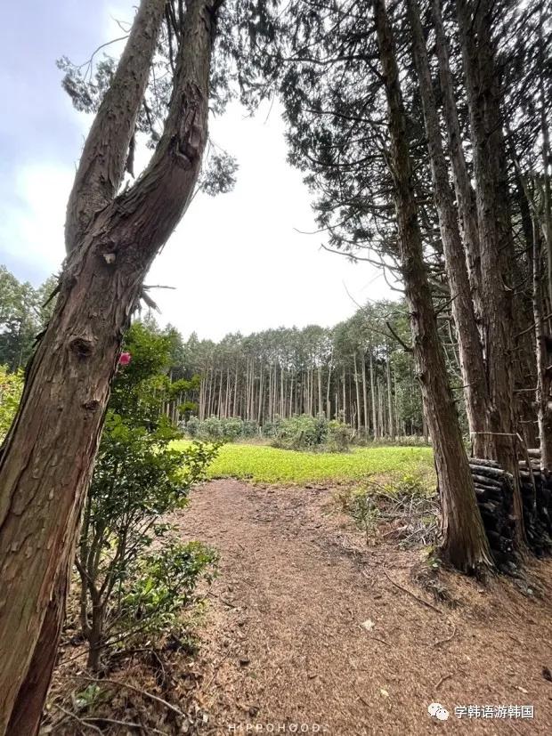 济州岛穿搭夏天旅游凉快,济州岛夏日旅行