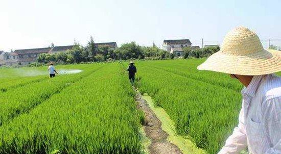 农村小投资创业,小焦创业在农村