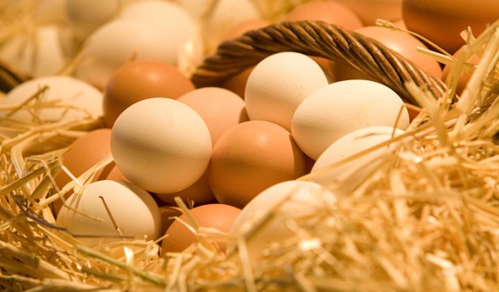 吃鸡蛋的这5个注意事项,吃鸡蛋记得避开三个误区