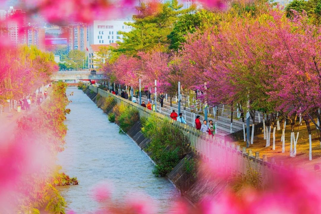 成都4天3夜旅游攻略,成都出发九寨沟川西四日小环线