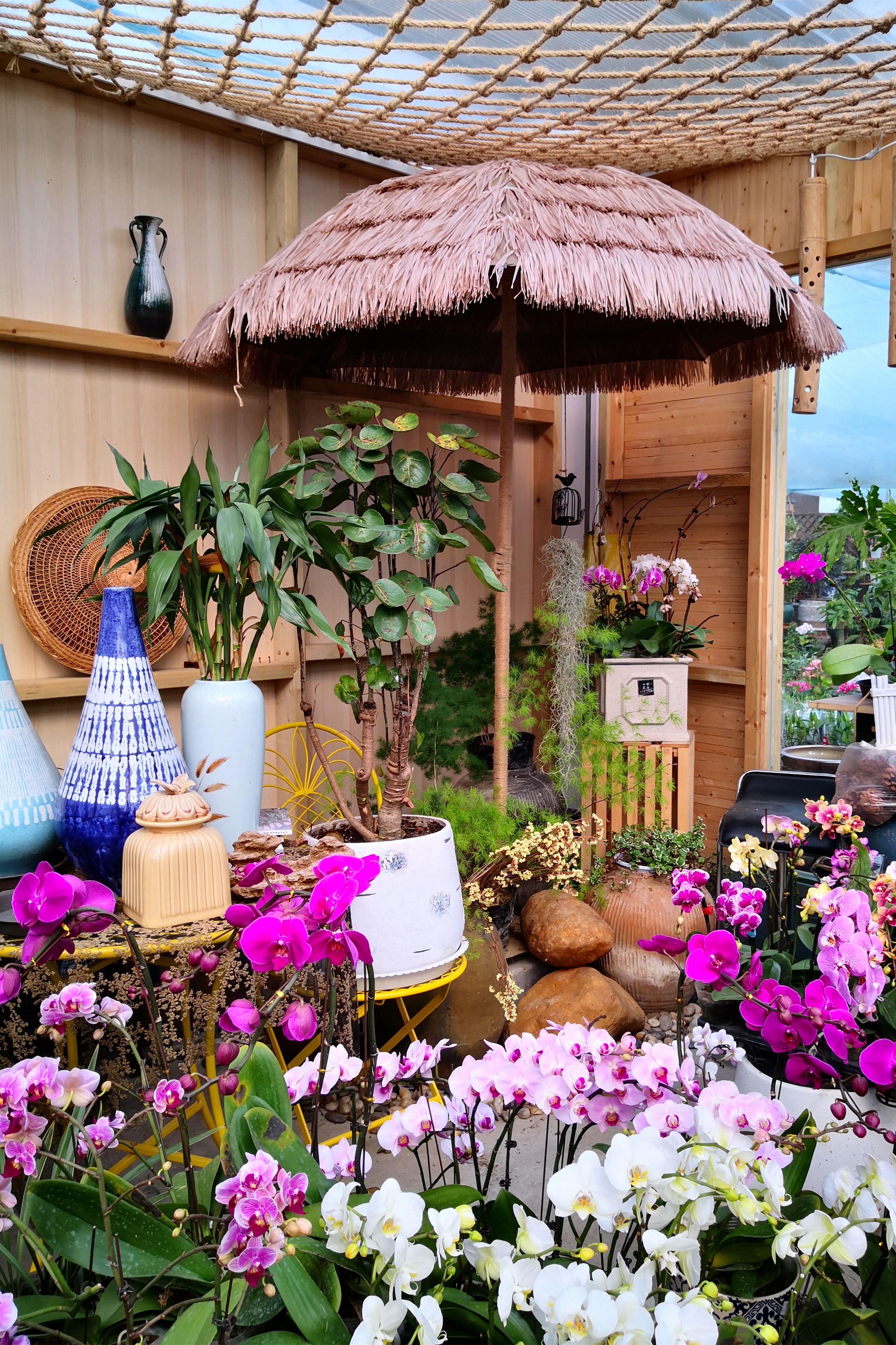 东营最大的花卉批发市场在哪里,东营地区哪里有花卉市场