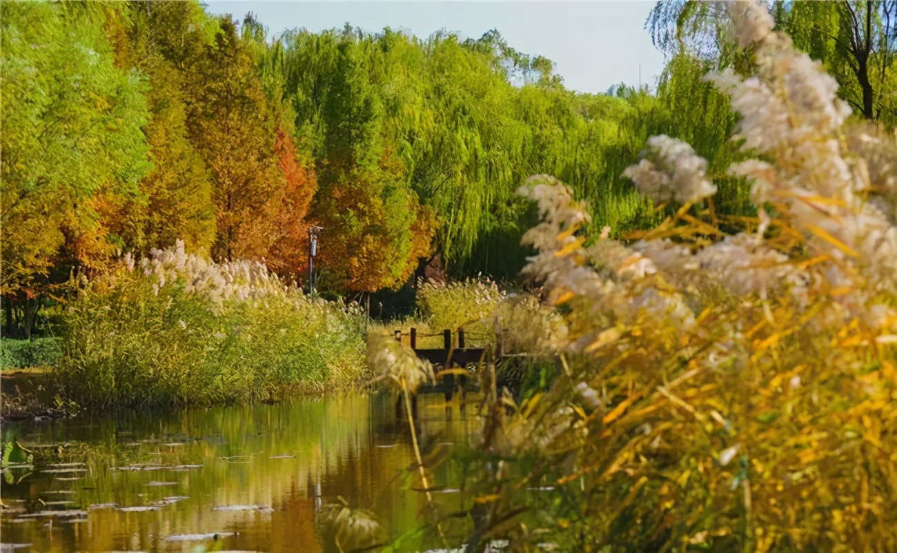 济南免费遛娃的地方,济南市十一带娃游玩好去处