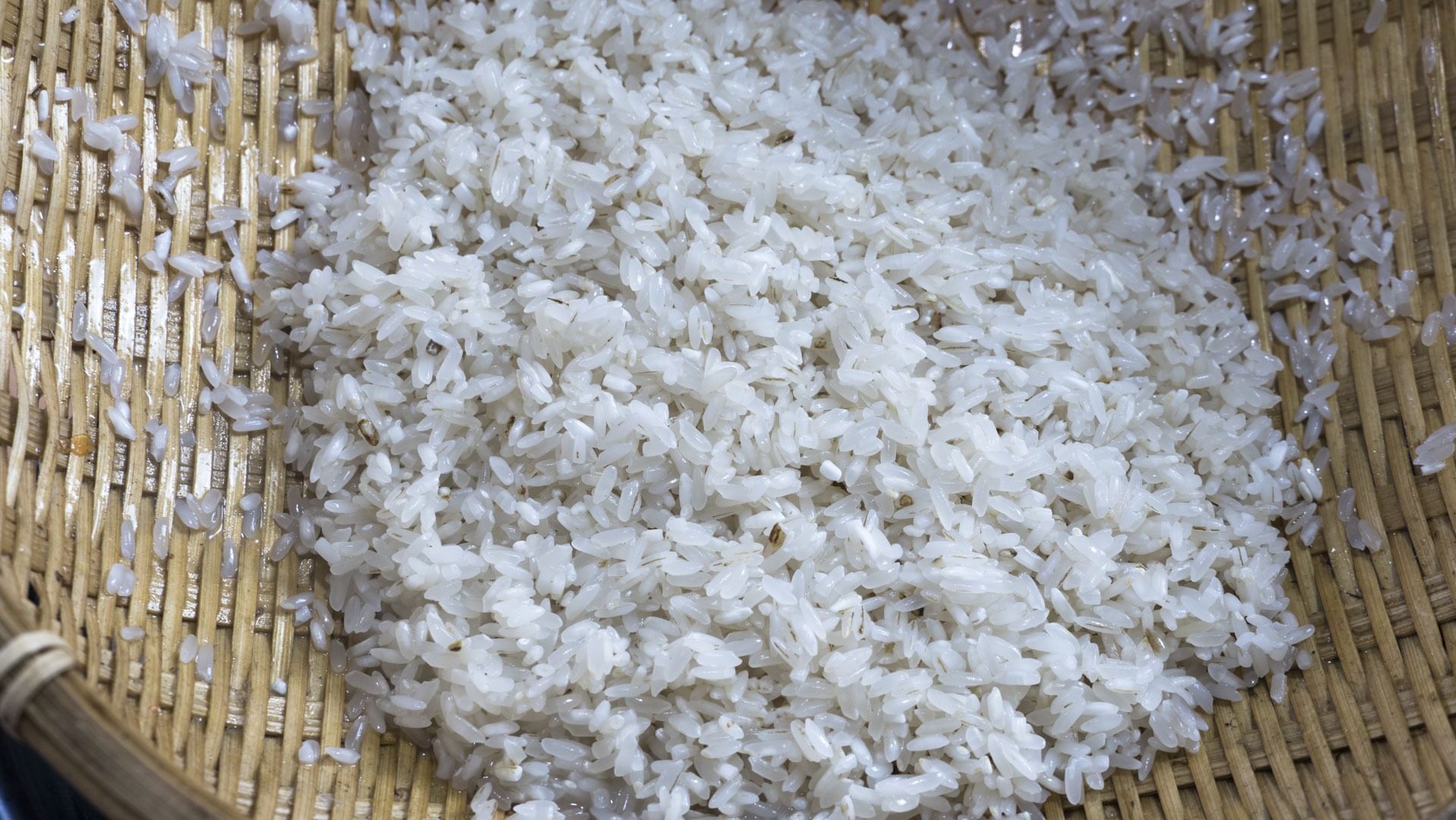 100款特色招牌菜视频,100个高档招牌菜热菜