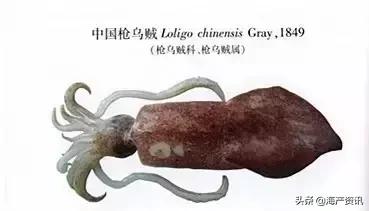 硬核科普全部,硬核科普大全视频