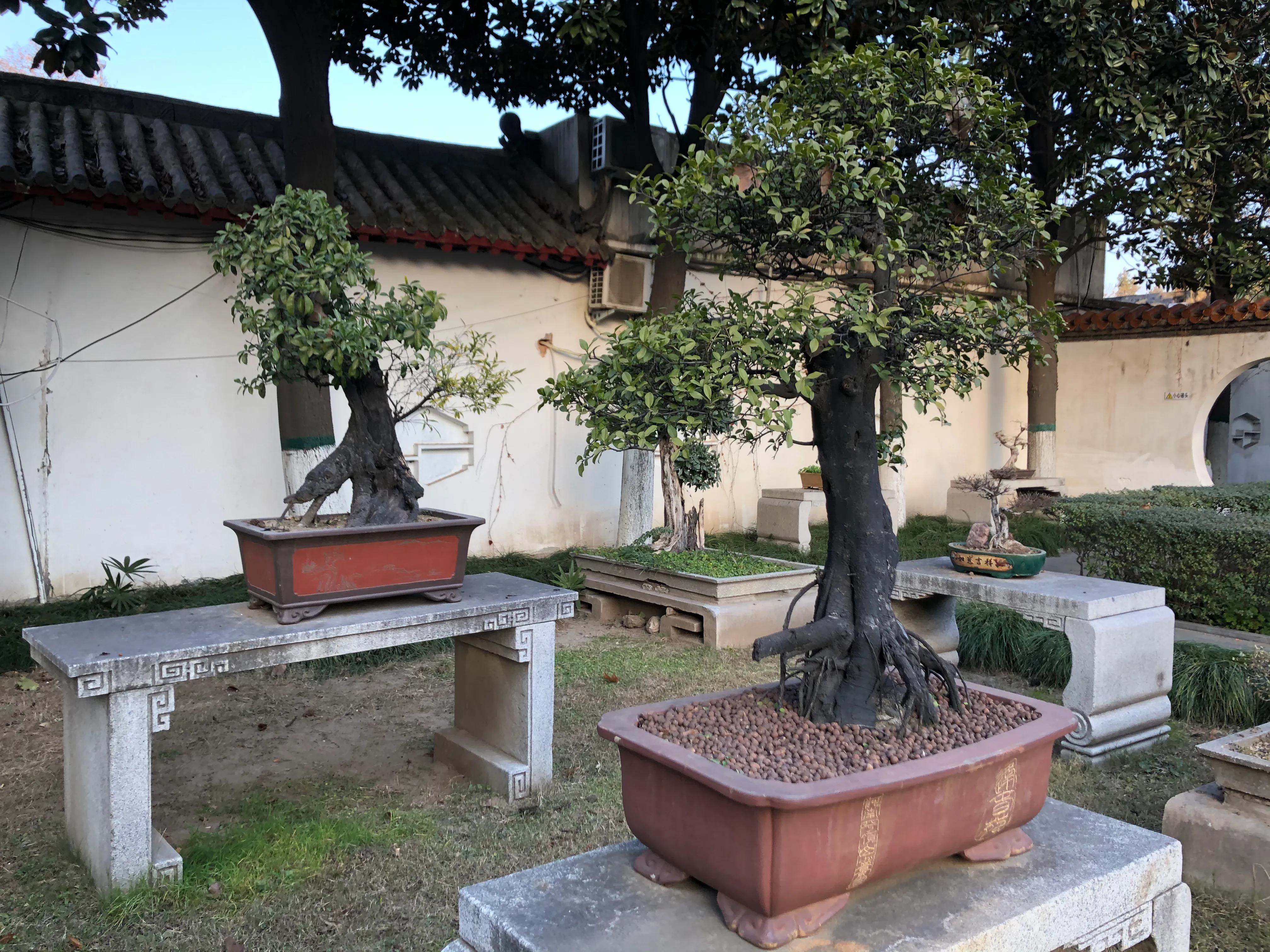 平顶山河滨公园旅游攻略,平顶山森林公园游记