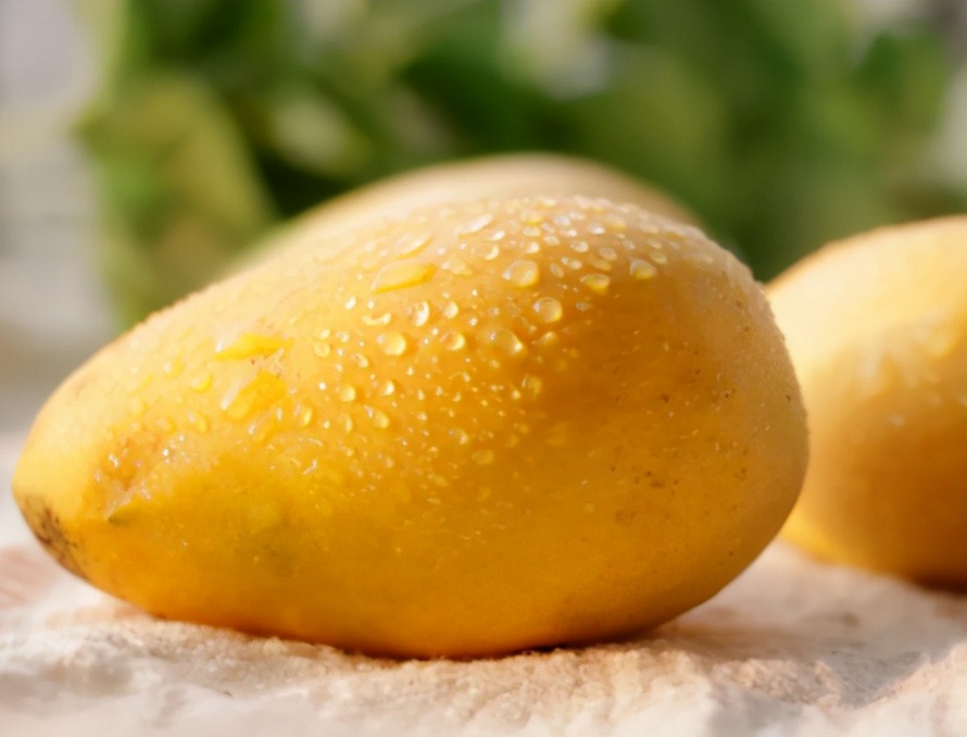 青芒台芒贵妃芒区别,青芒贵妃芒金煌芒哪个好吃