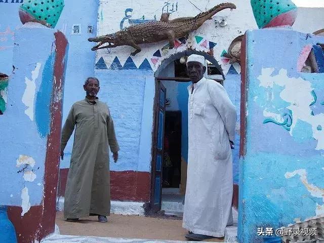 把非洲鳄界扛把子当宠物养是一种怎样的体验？