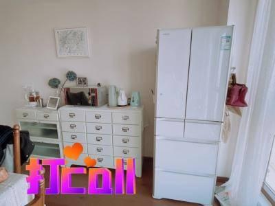 家居生活好帮手,日立460冰箱