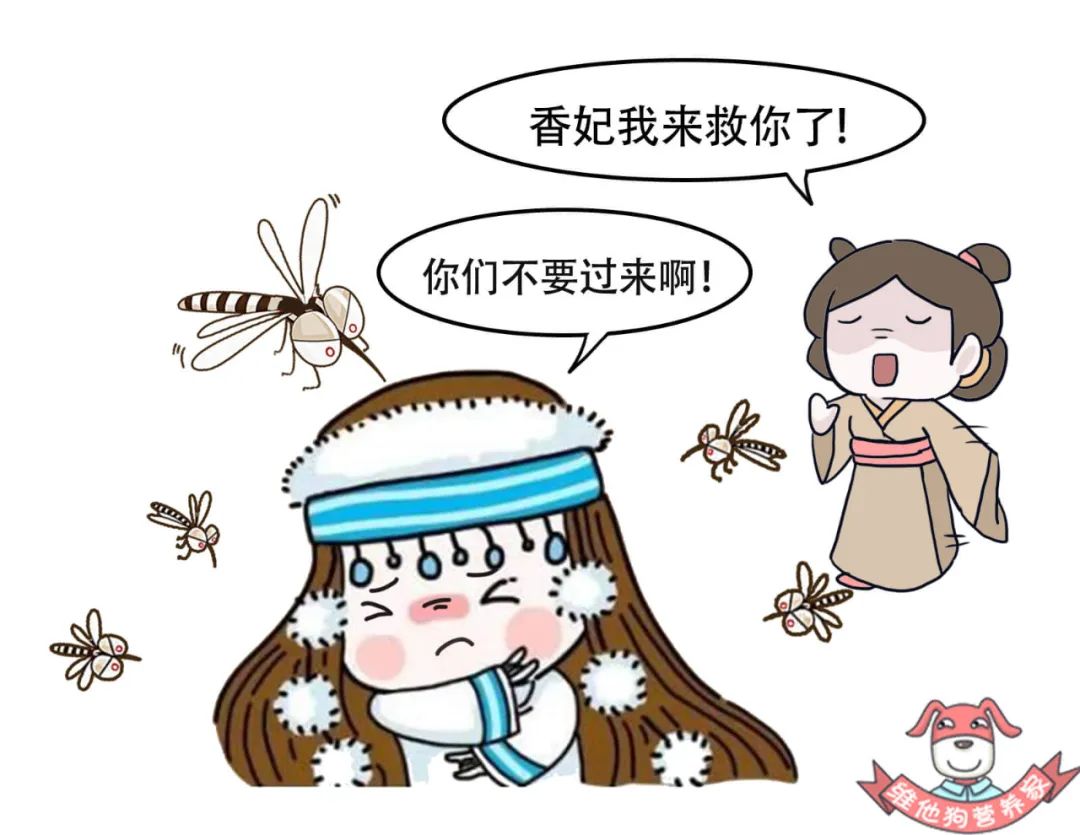 为何蚊子咬了不会肿大,耳朵被蚊子叮了怎么消肿止痒