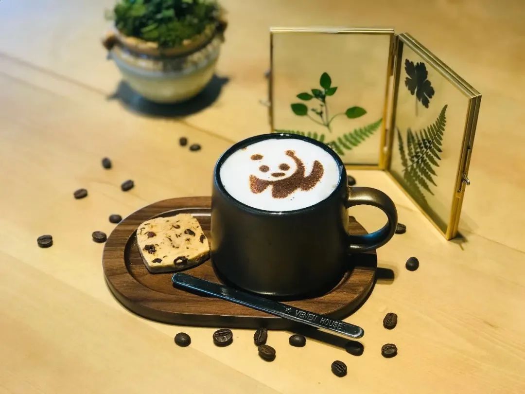 彭州太空舱营地,成都熊猫森林太空舱民宿