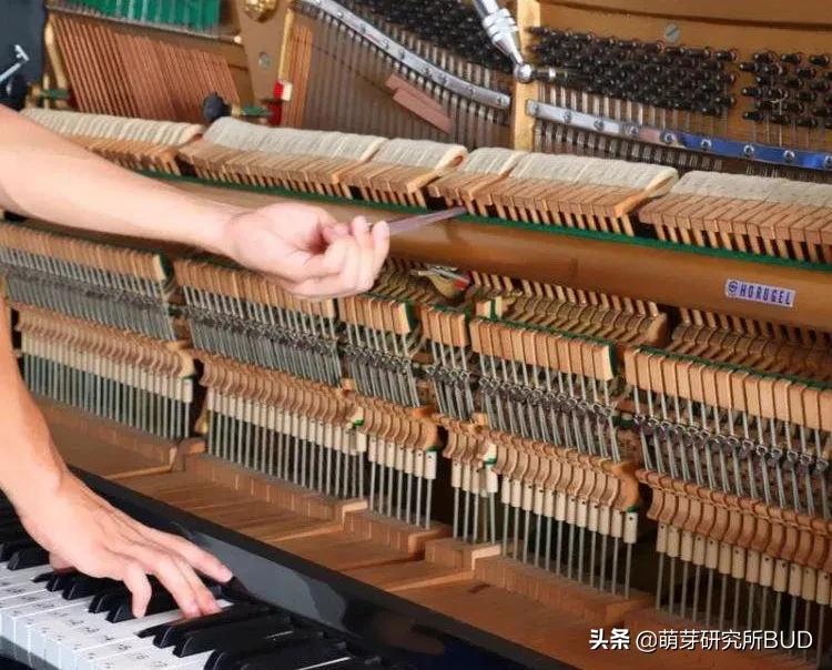 怎样挑选一架钢琴,钢琴入门如何挑选比较好的品牌