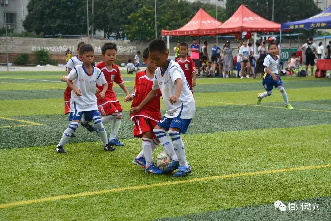 足球训练营公益,足球带给孩子们更多的快乐和成长