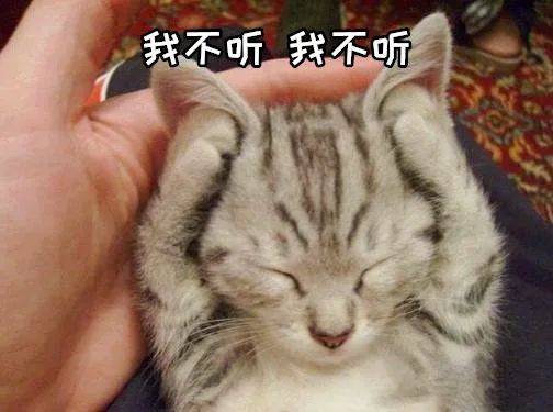 猫屎猫尿这么臭怎么办,猫在猫砂盆里大便臭吗