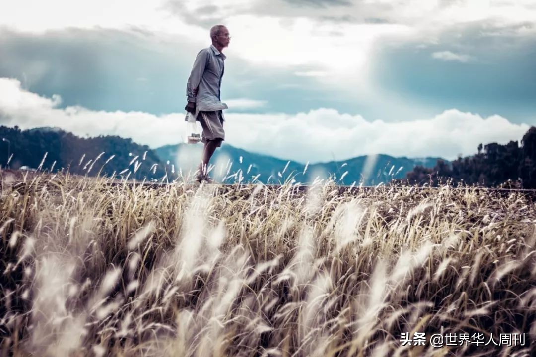 日本每年都有10万人失踪吗,日本每年消失的人多吗