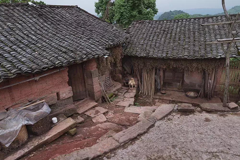 渝北枇杷正黄，冒冒失失穿越铁壁、胜保、斗碗三寨