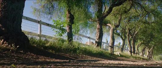 不用农药,让超1000种动植物生态平衡,这次美国人真的做到了