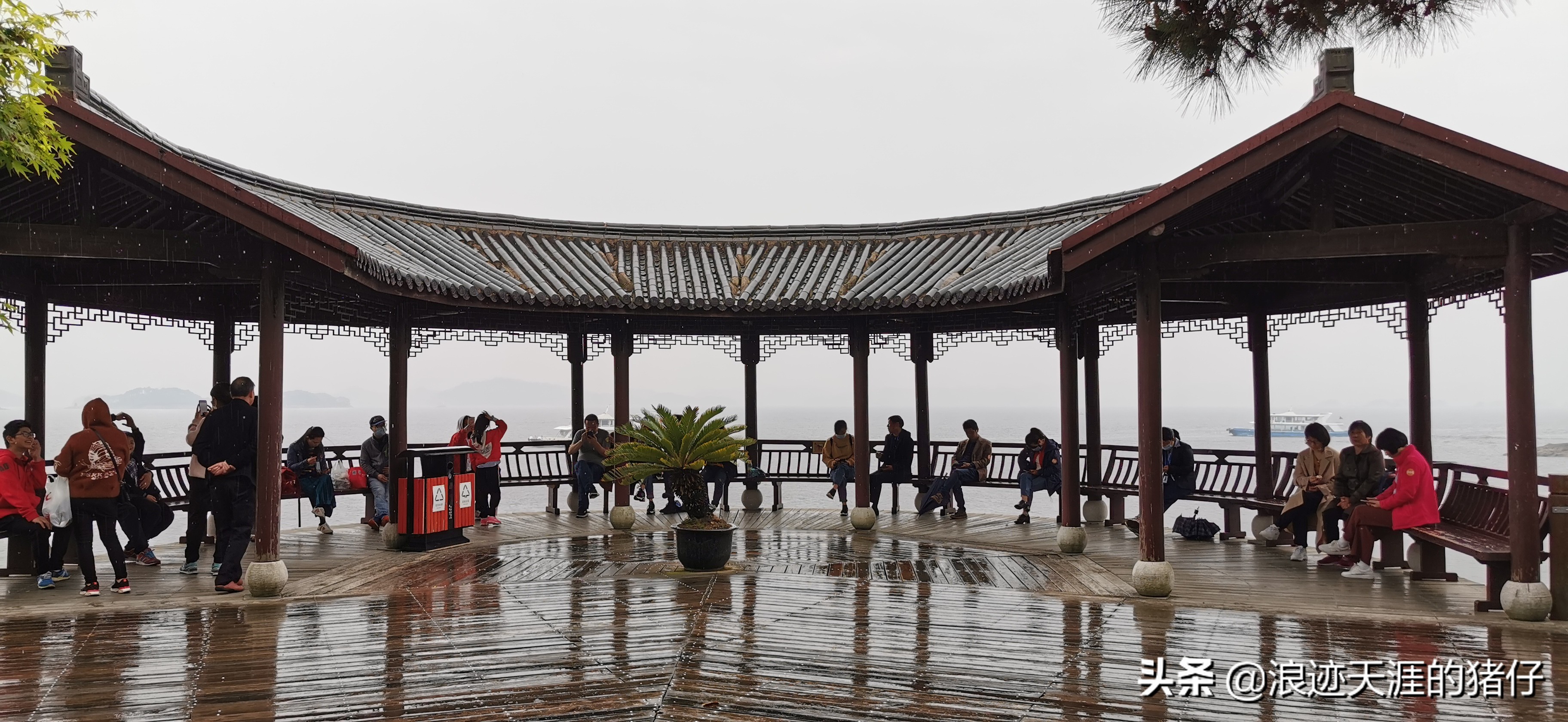 千岛湖疫情政策,千岛湖景区半价优惠