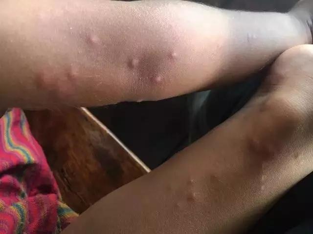 他叫辛巴,不是狮子王,8岁穿越12国:最好的教育,永远在路上