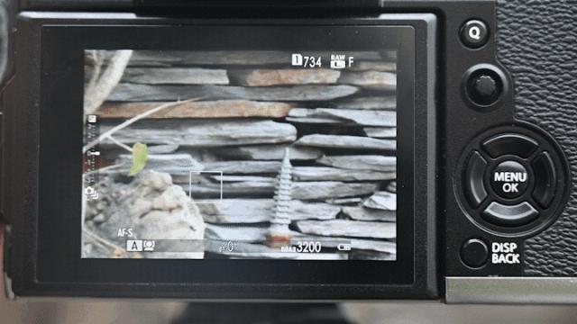 尼康f卡口可以用索尼镜头吗,尼康微单用f卡口镜头效果怎么样