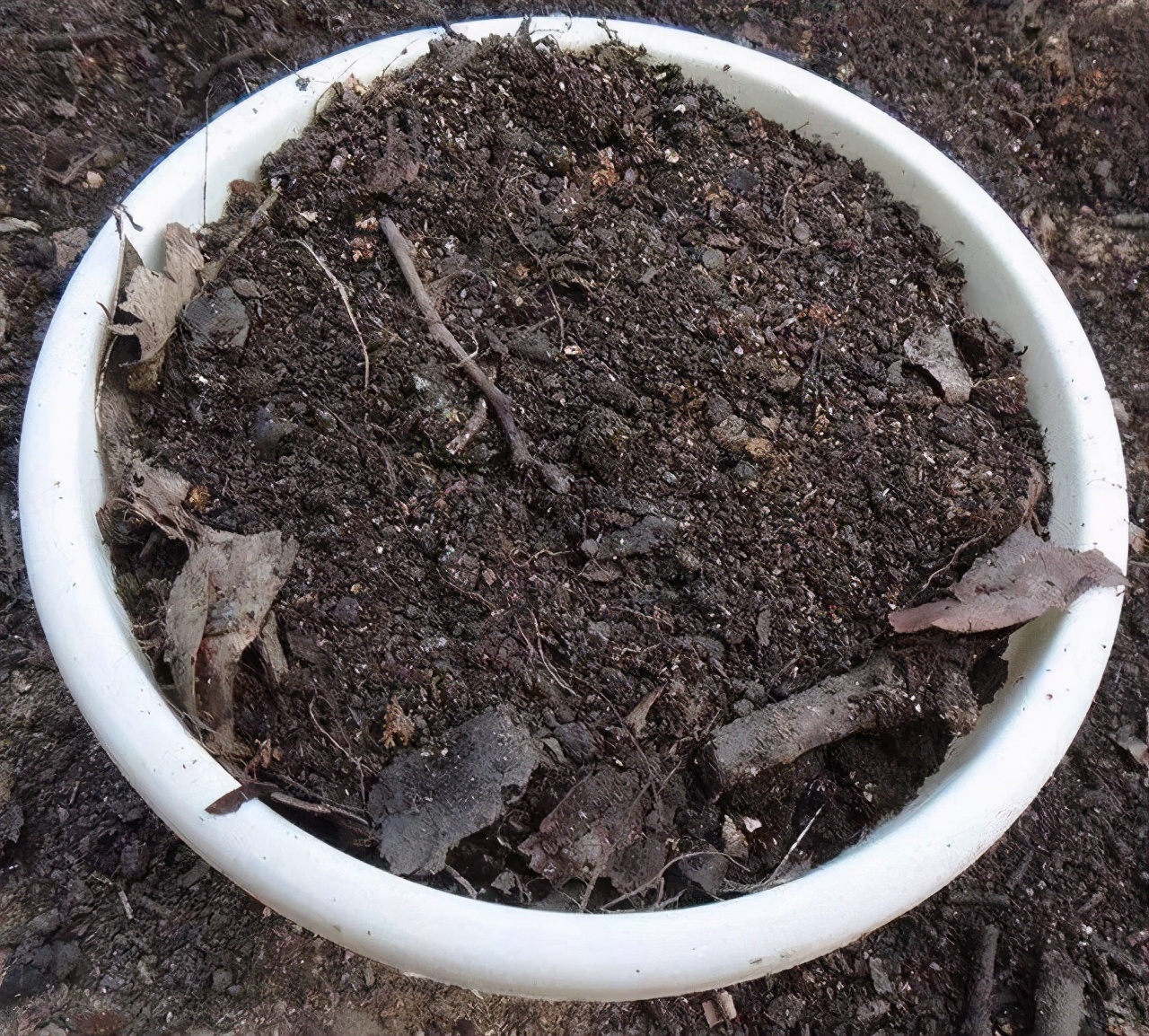 6种“垃圾”不要扔，装水瓶里泡一泡，肥的流油，养花一级棒