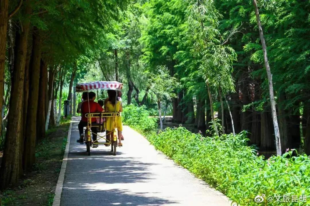 云南人注意啦!25种方法检验你有没有在昆明生活过,一看真灵!