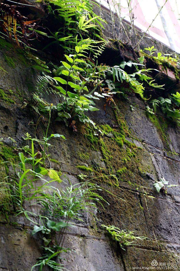 难忘贵州歌曲筒谱,难忘贵州歌曲