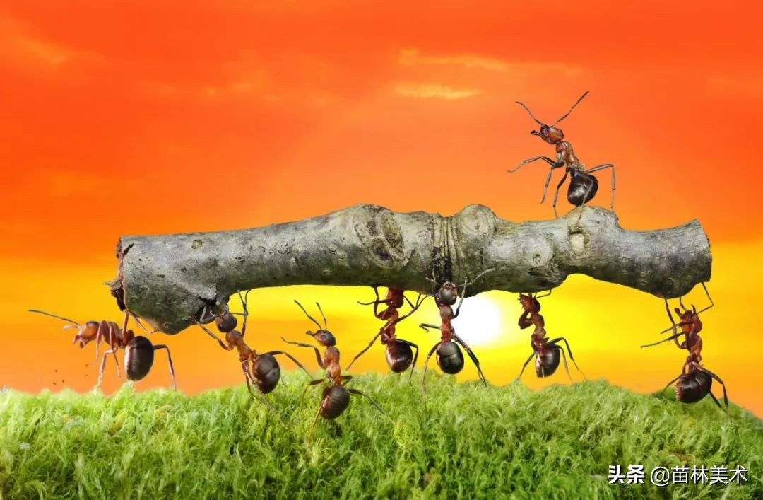 艺术开脑洞,玩艺术就是要有创造力