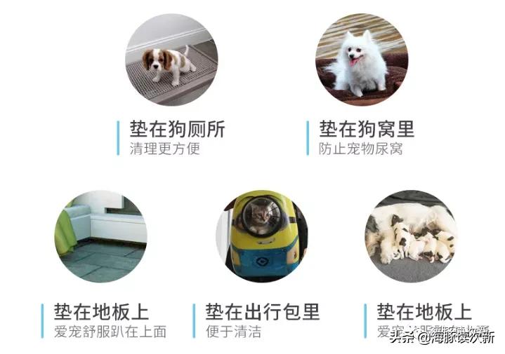 铲屎官专用铲屎神器,铲屎官必备神器再不怕宠物掉毛了