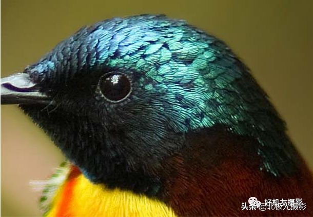 拍的照片没有层次感,拍出的效果没有实物效果