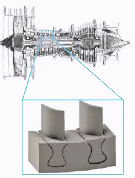 甲虫为什么那么强,压不死的灰色小虫子