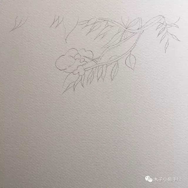 紫藤花水墨教程,紫藤花水粉画法步骤图