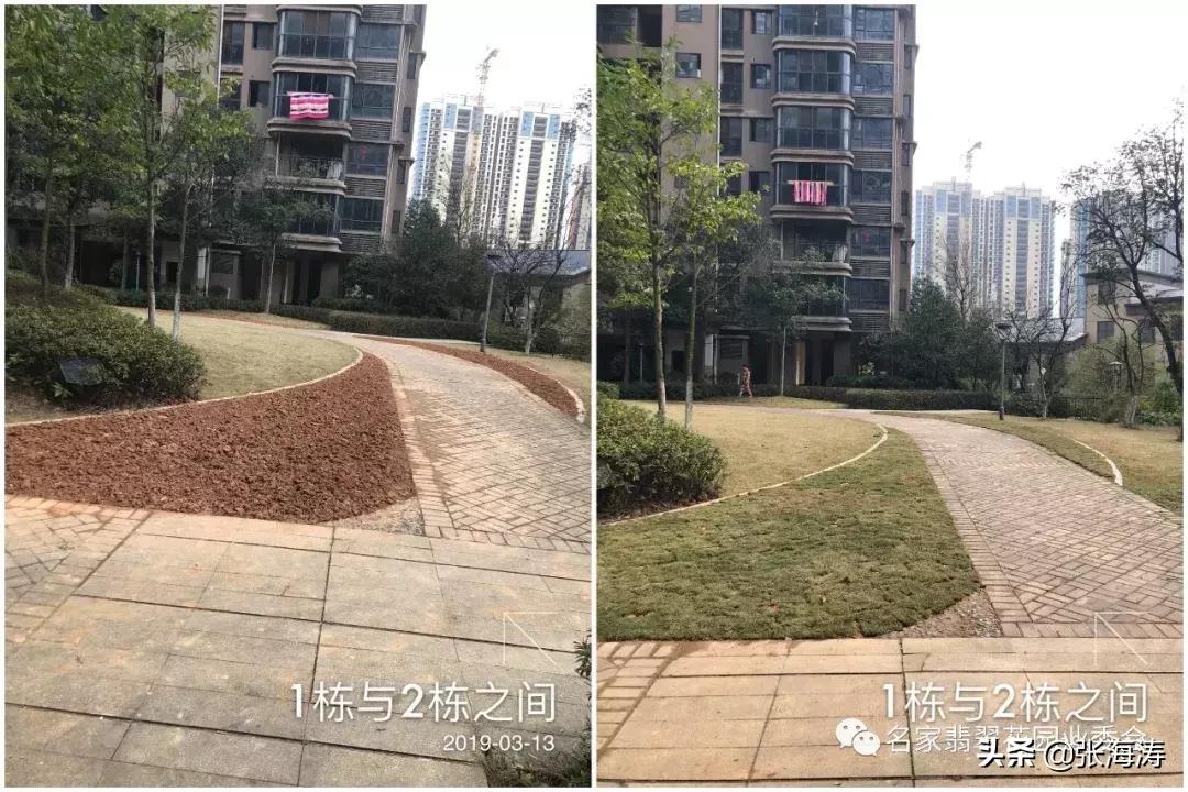 业委会整改小区绿化,名家翡翠花园业委会