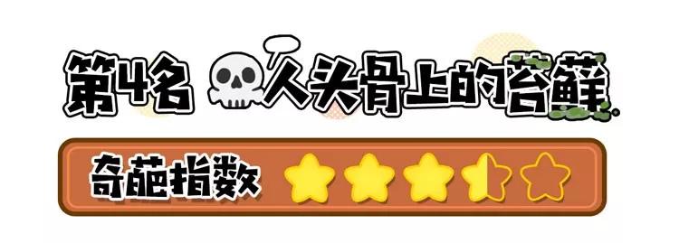 用洋葱加什么可以减肥,用洋葱减肥方法