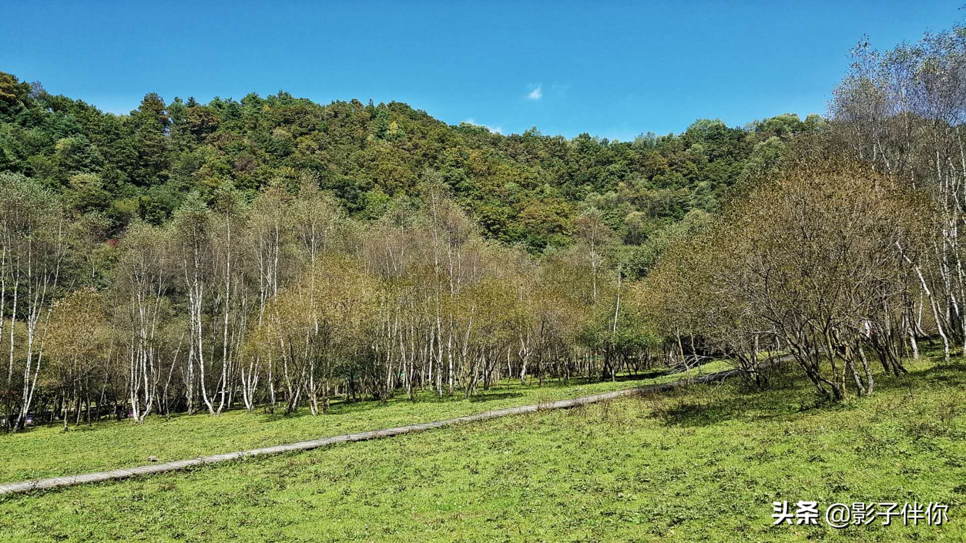 宝鸡大水川,宝鸡大水川好不好玩