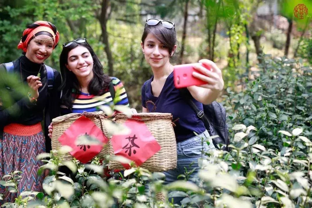 苏州通安的特色,苏州通安有什么美食