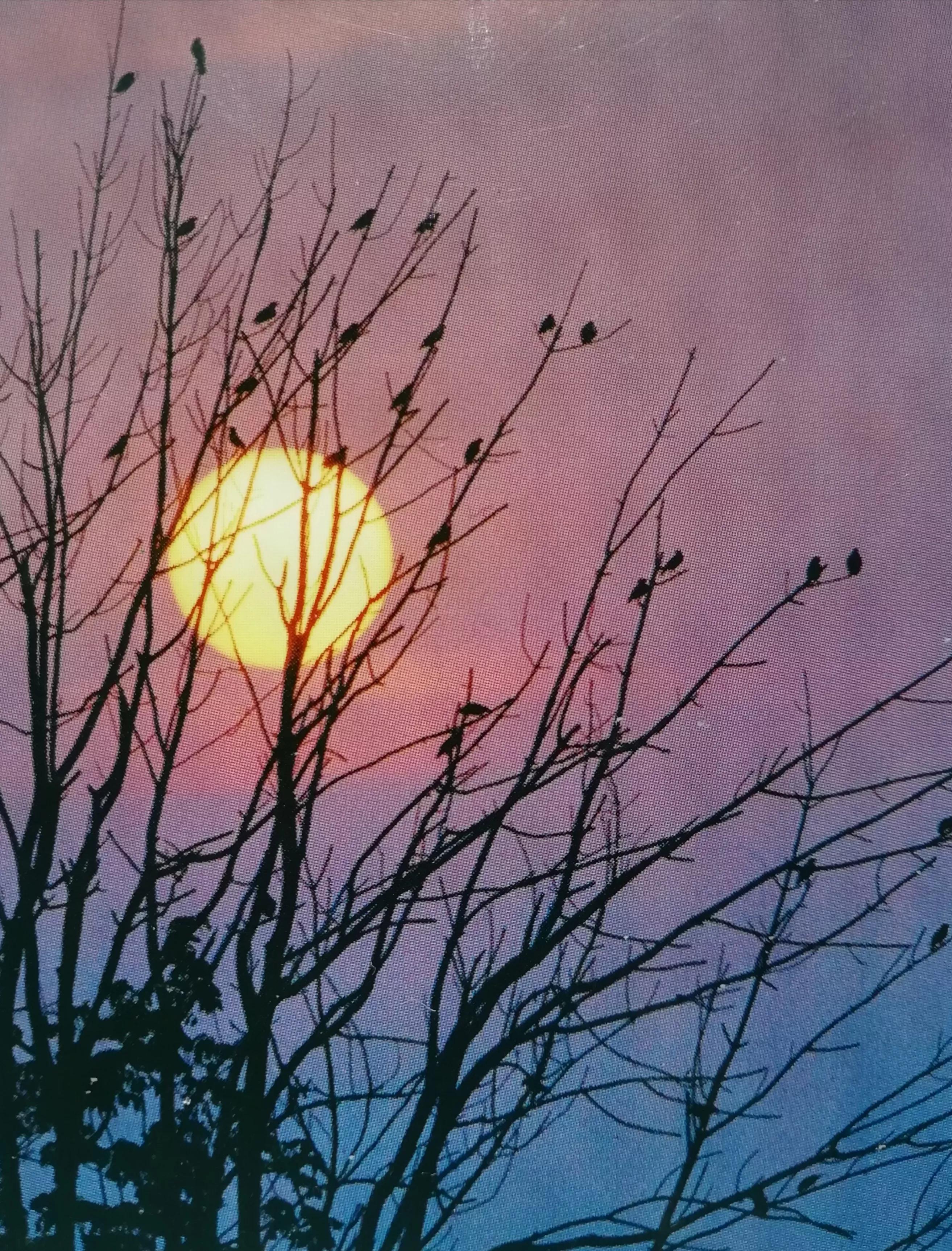 【旧作自励】原创中篇小说《烈血夯歌(十一)》陈正才