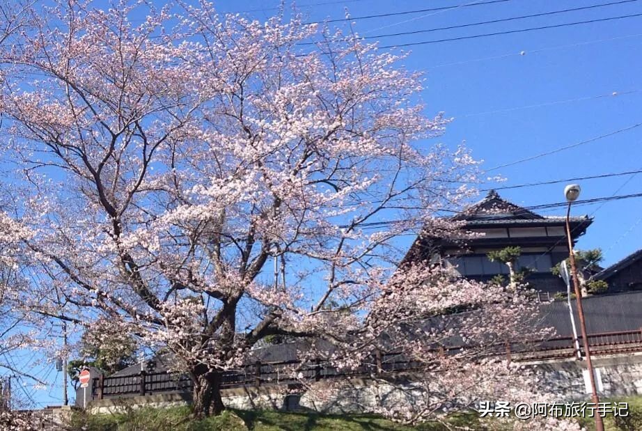 成田机场对比羽田机场,成田机场和羽田机场有什么不一样