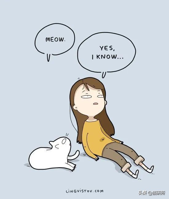 猫咪总是打扰主人吃饭怎么办,猫咪总是打扰我睡觉怎么办