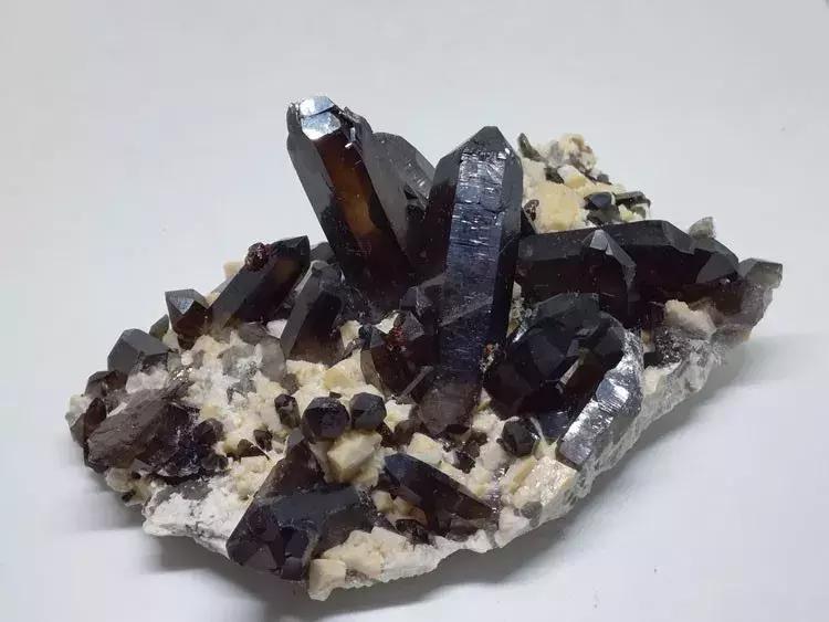 快来围观石英家族,颜值爆表