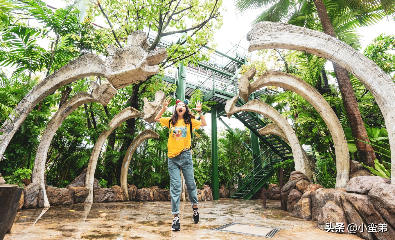 5年之许,小白逆袭重返新加坡