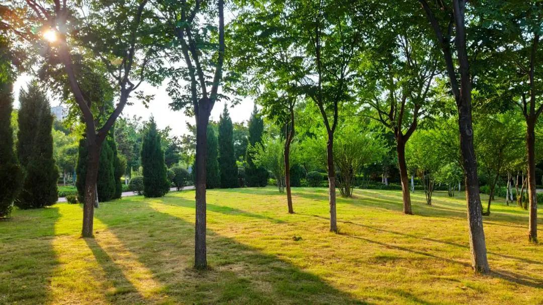 平顶山市新城区值得买的房子,平顶山新城区哪个小区值得买