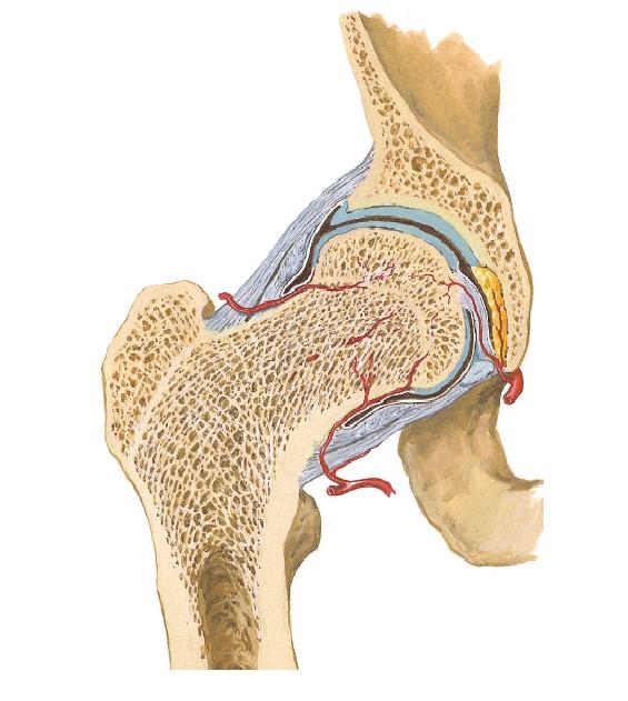 半月板损伤最简单自己鉴别方法,健康之路半月板损伤怎样治疗