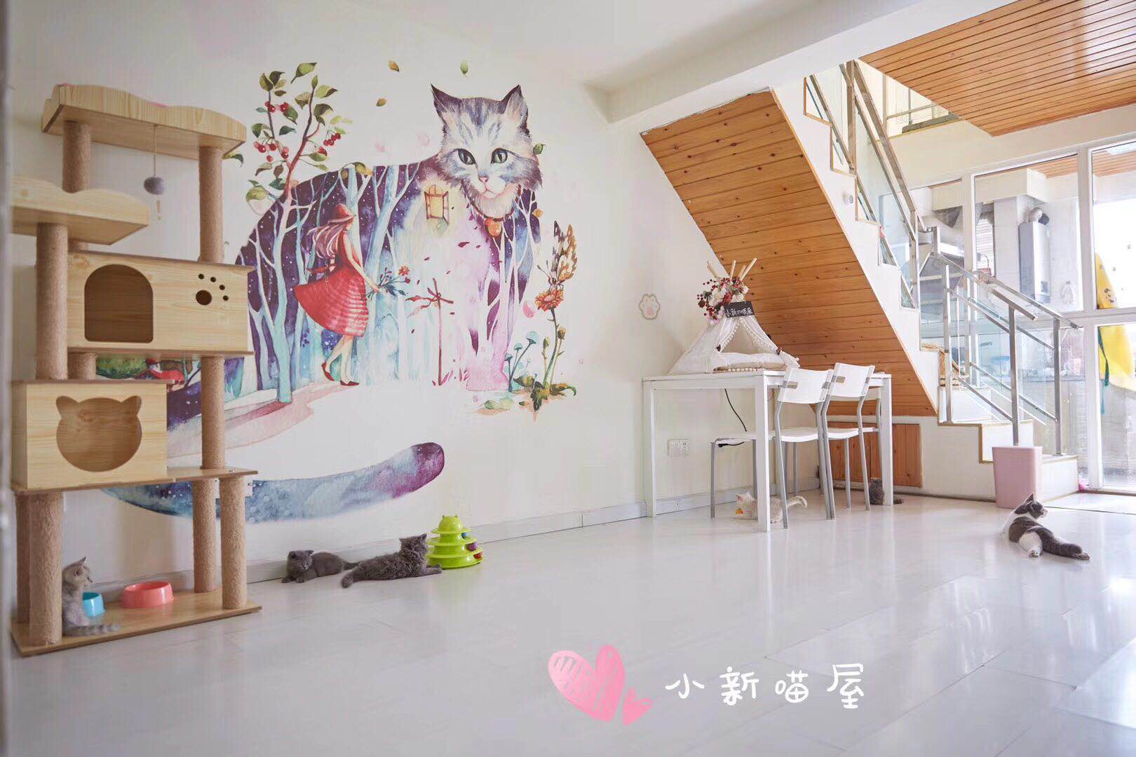 怎么防买到星期猫,如何避免在市场买到星期猫