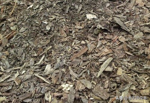 在农村收废铁挣钱吗,在农村收树枝挣钱吗